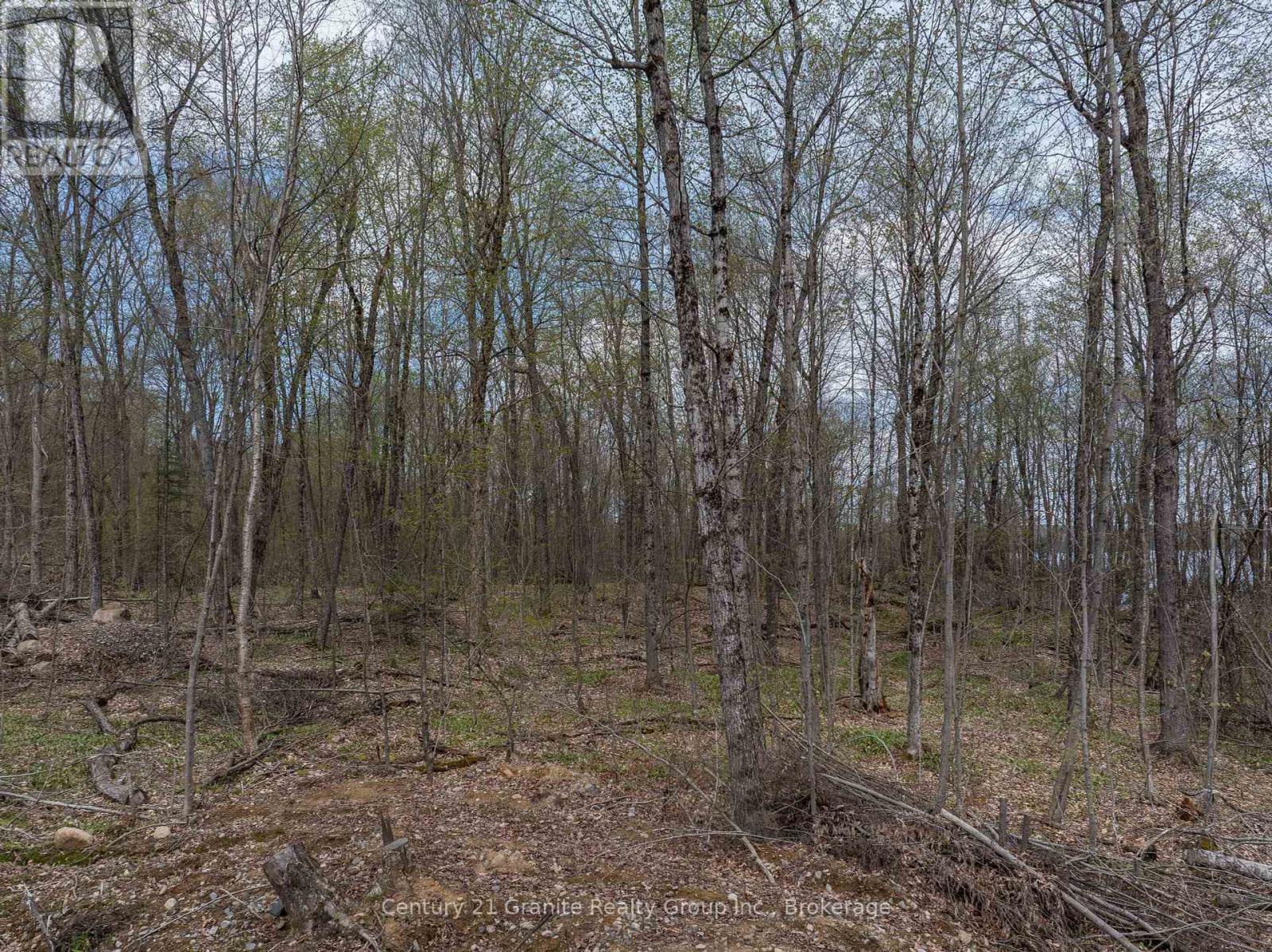0 Wilkinson Road, Dysart Et Al, Ontario  K0M 1S0 - Photo 13 - X12168212