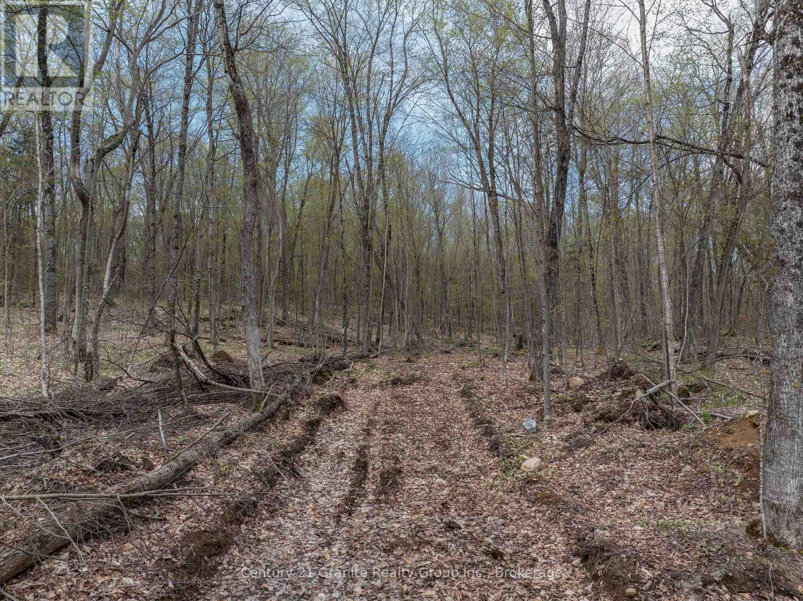 0 Wilkinson Road, Dysart Et Al, Ontario  K0M 1S0 - Photo 14 - X12168212