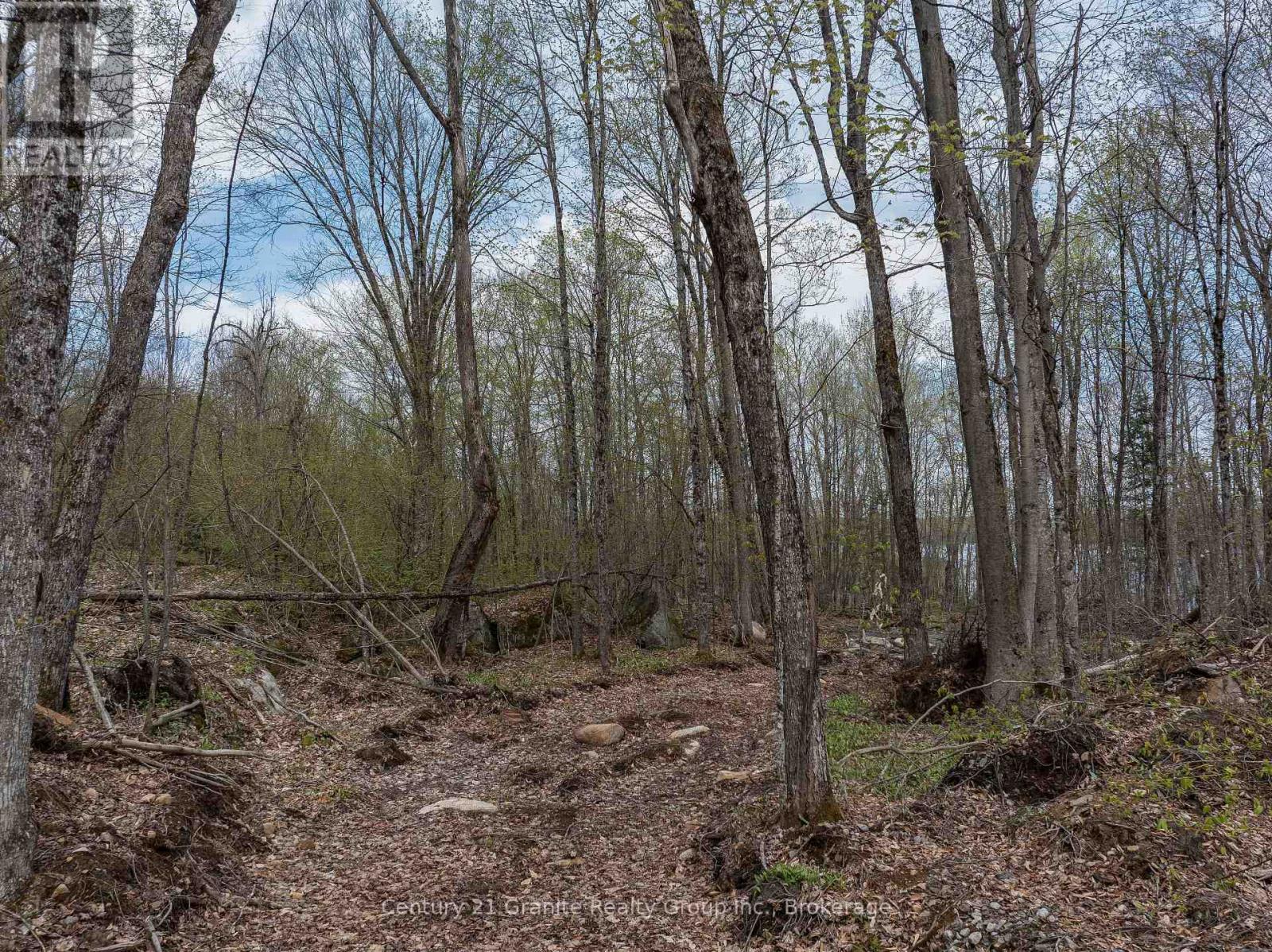 0 Wilkinson Road, Dysart Et Al, Ontario  K0M 1S0 - Photo 15 - X12168212