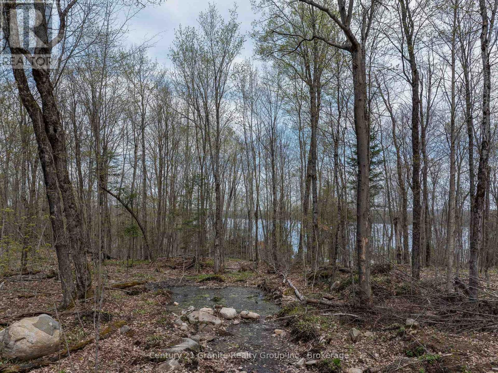 0 Wilkinson Road, Dysart Et Al, Ontario  K0M 1S0 - Photo 16 - X12168212