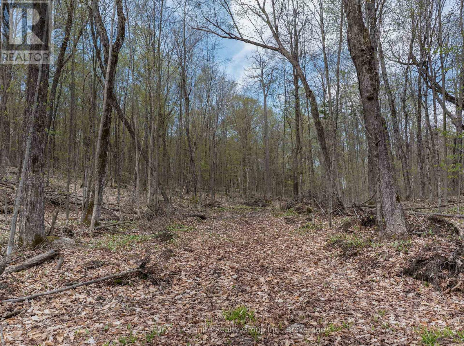 0 Wilkinson Road, Dysart Et Al, Ontario  K0M 1S0 - Photo 17 - X12168212