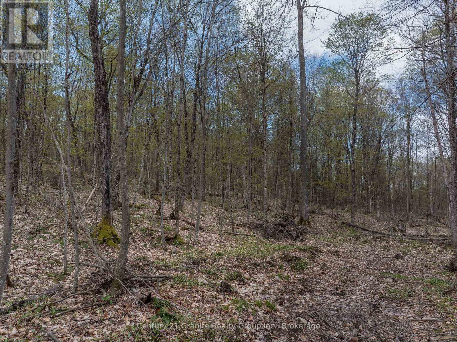 0 Wilkinson Road, Dysart Et Al, Ontario  K0M 1S0 - Photo 19 - X12168212