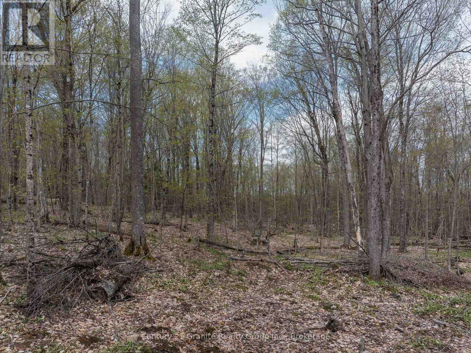 0 Wilkinson Road, Dysart Et Al, Ontario  K0M 1S0 - Photo 20 - X12168212