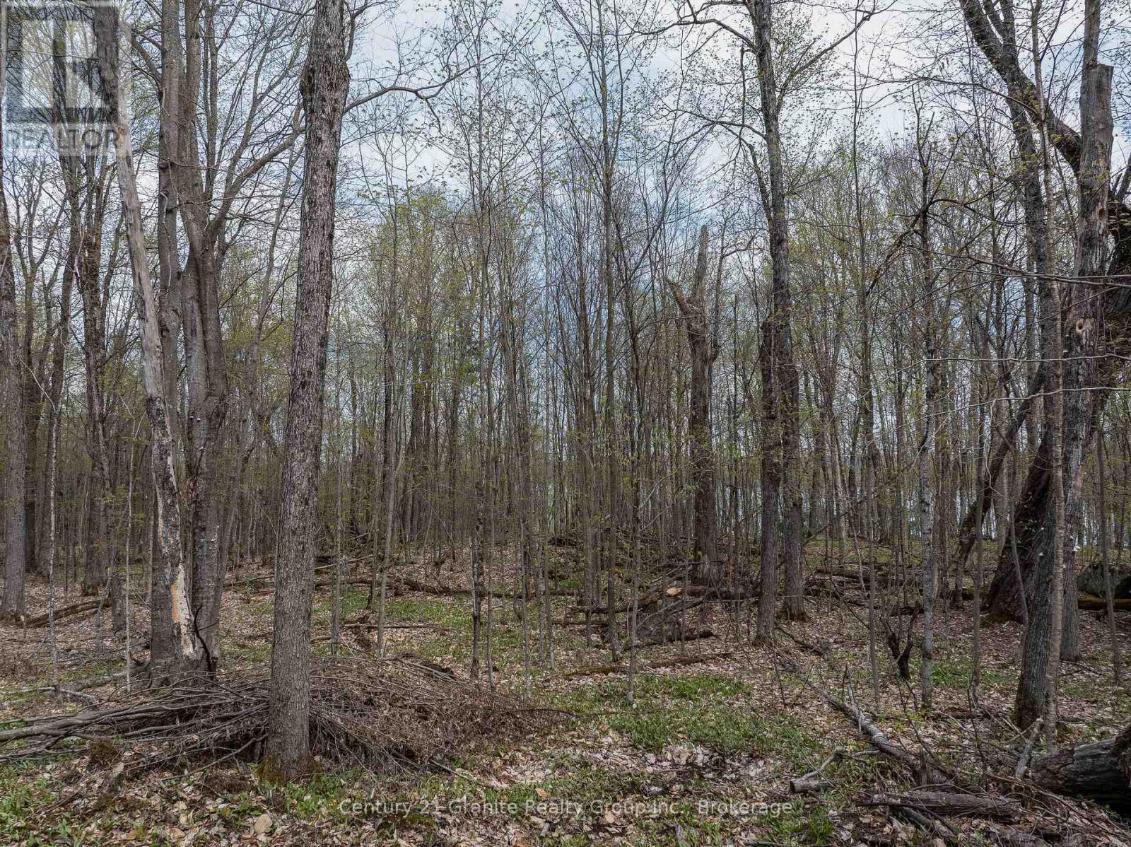 0 Wilkinson Road, Dysart Et Al, Ontario  K0M 1S0 - Photo 21 - X12168212