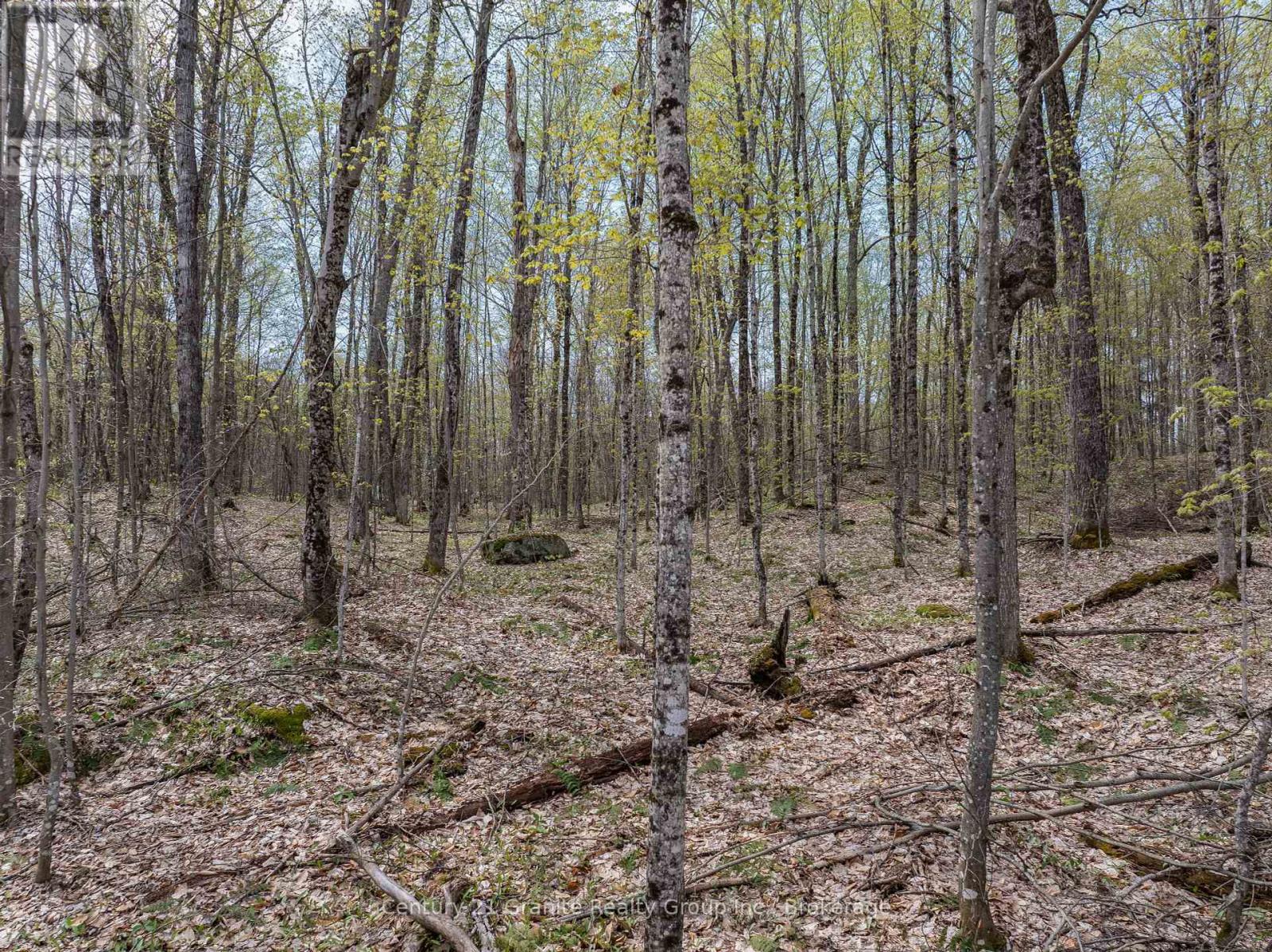 0 Wilkinson Road, Dysart Et Al, Ontario  K0M 1S0 - Photo 23 - X12168212
