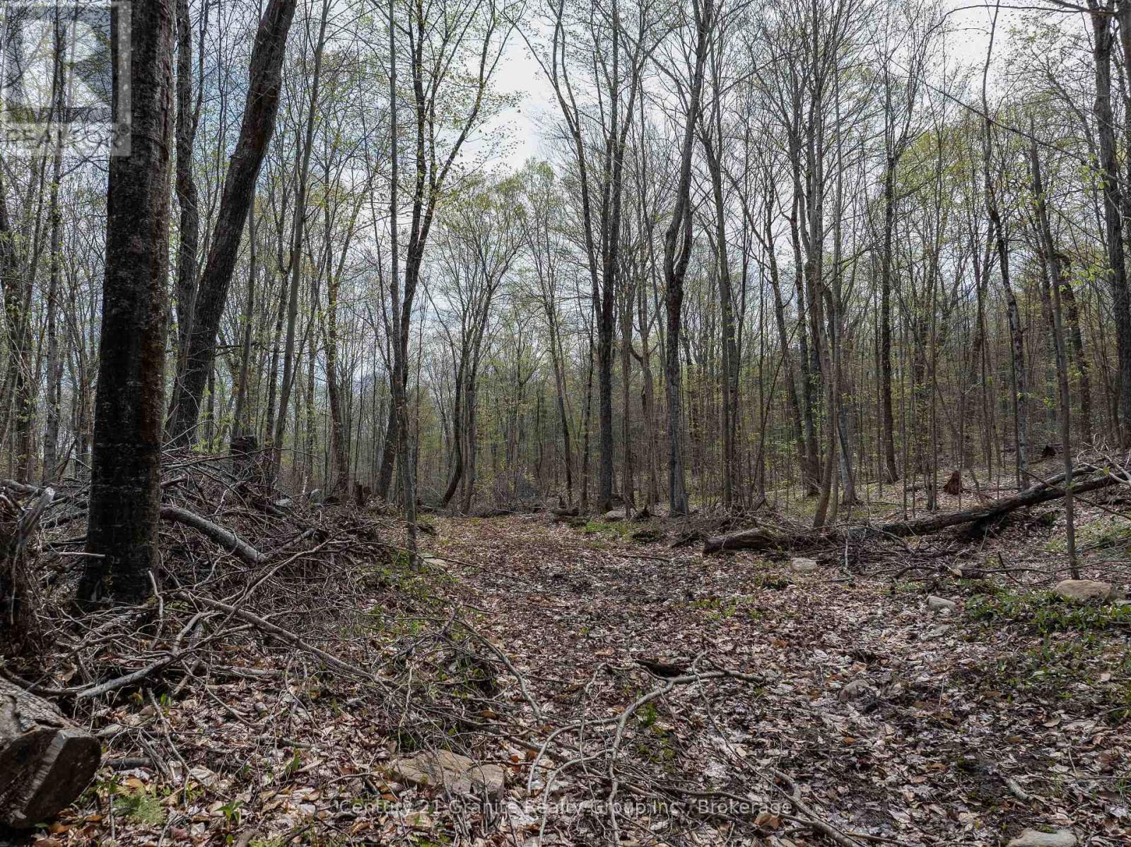 0 Wilkinson Road, Dysart Et Al, Ontario  K0M 1S0 - Photo 24 - X12168212
