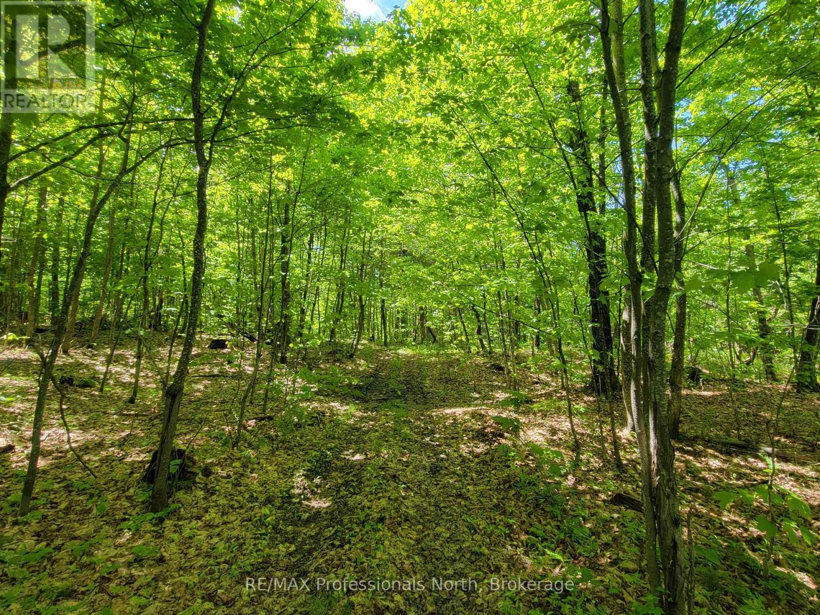 0 Dufferin Street, South River, Ontario  P0A 1X0 - Photo 13 - X12168228