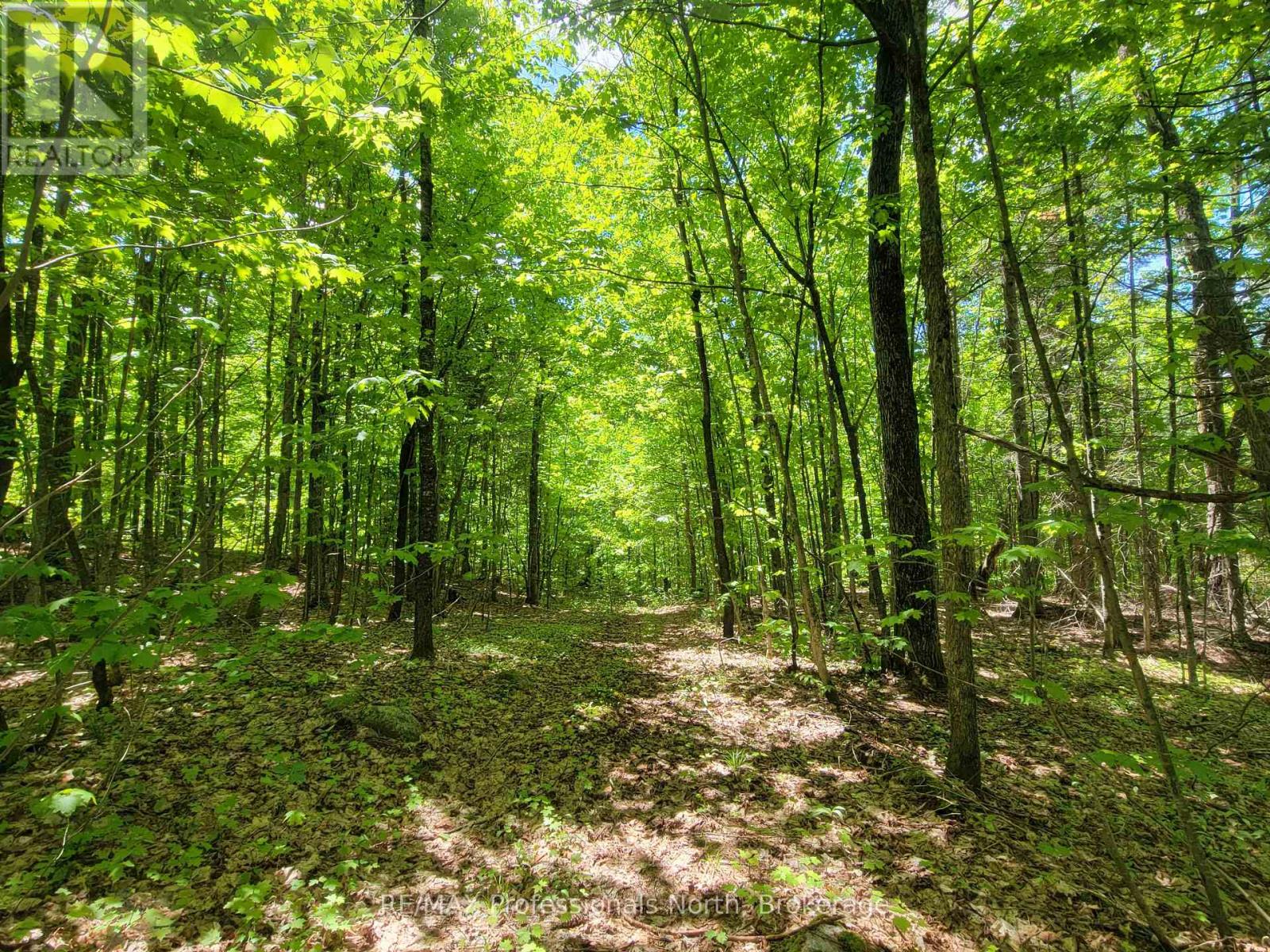 0 Dufferin Street, South River, Ontario  P0A 1X0 - Photo 14 - X12168228