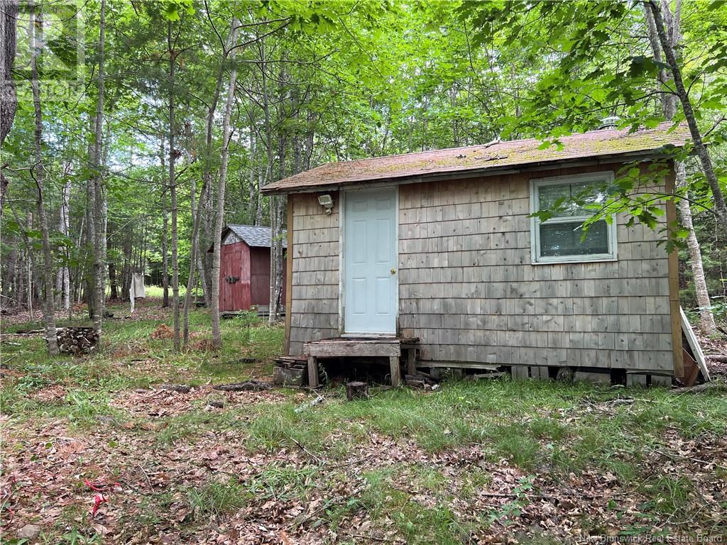 Vacant Lot Lakeview Drive, Washademoak, New Brunswick  E4C 2L6 - Photo 14 - NB118989