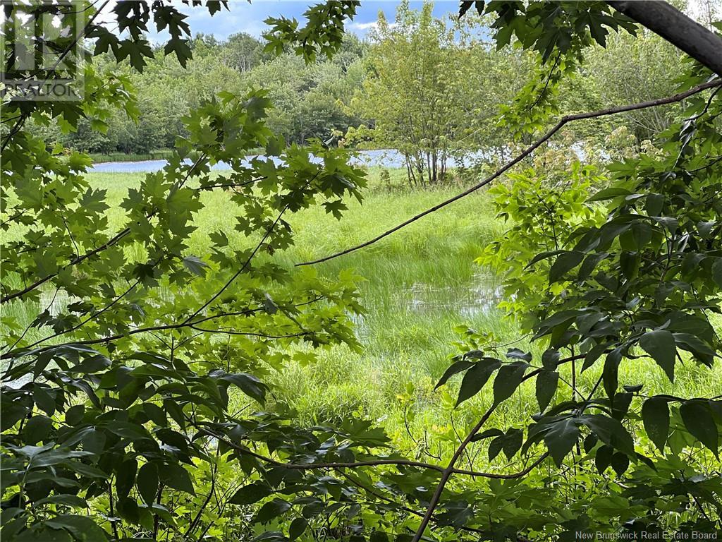 Vacant Lot Lakeview Drive, Washademoak, New Brunswick  E4C 2L6 - Photo 25 - NB118989