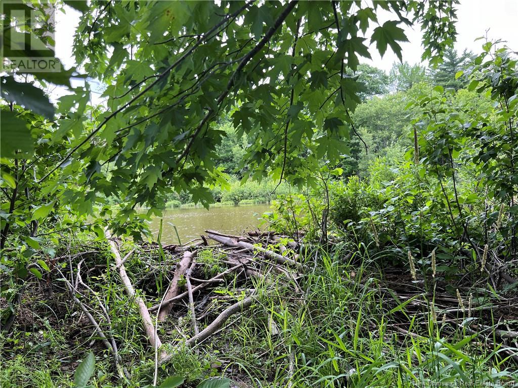 Vacant Lot Lakeview Drive, Washademoak, New Brunswick  E4C 2L6 - Photo 33 - NB118989