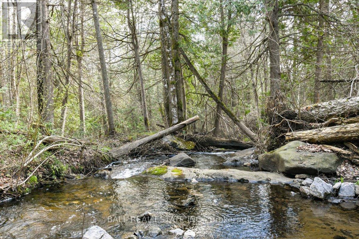 0 Clydesdale Road, North Kawartha, Ontario  K0L 1A0 - Photo 4 - X12168415
