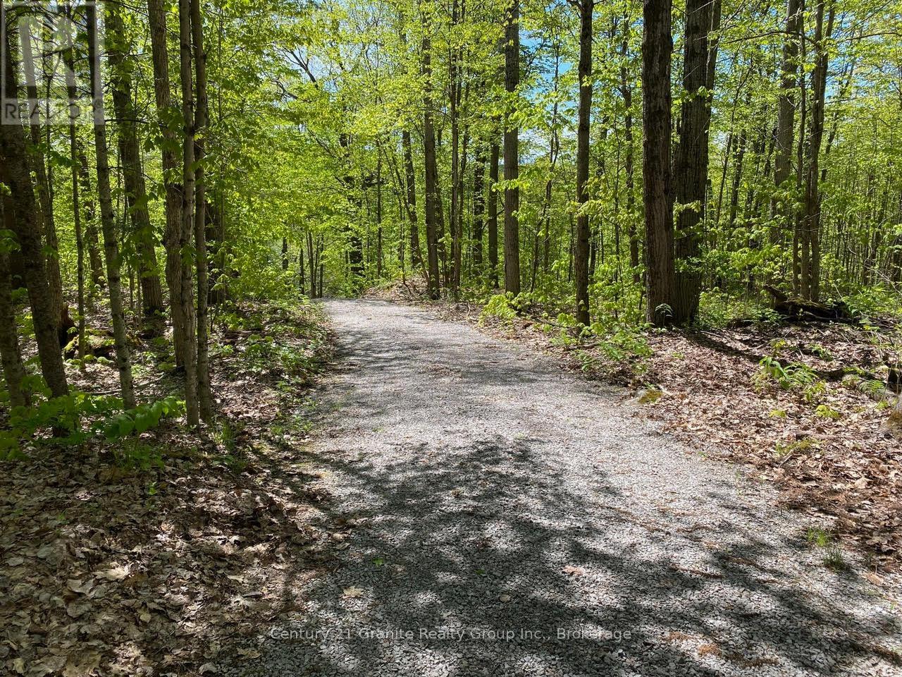 1037 Rotunda Drive, Highlands East, Ontario  K0M 1R0 - Photo 19 - X12168353