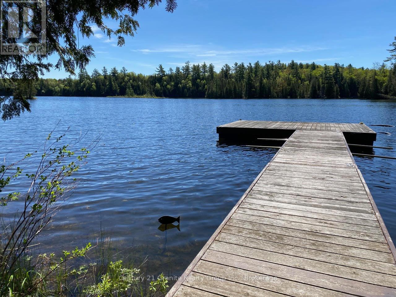 1037 Rotunda Drive, Highlands East, Ontario  K0M 1R0 - Photo 2 - X12168353