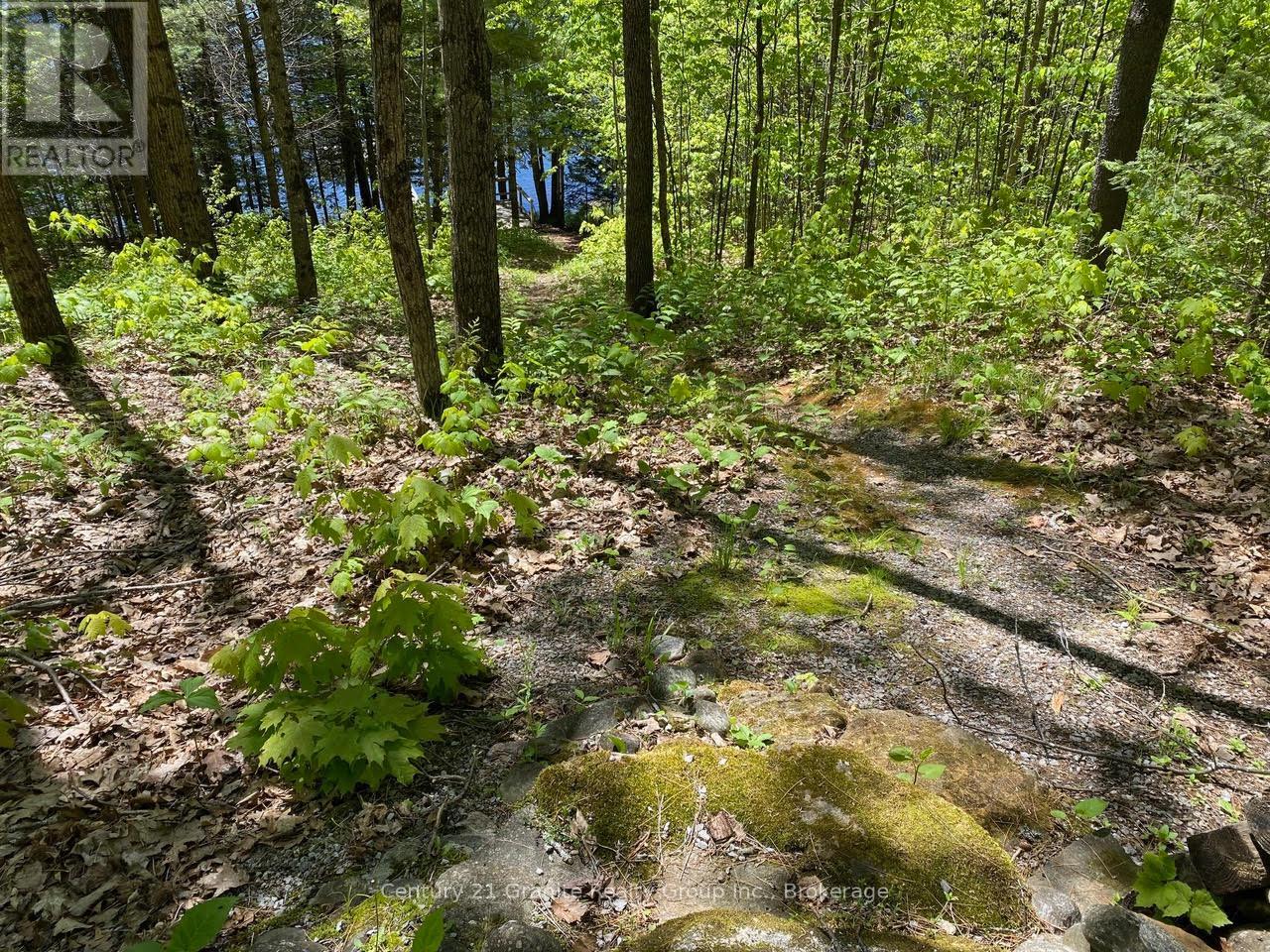 1037 Rotunda Drive, Highlands East, Ontario  K0M 1R0 - Photo 20 - X12168353