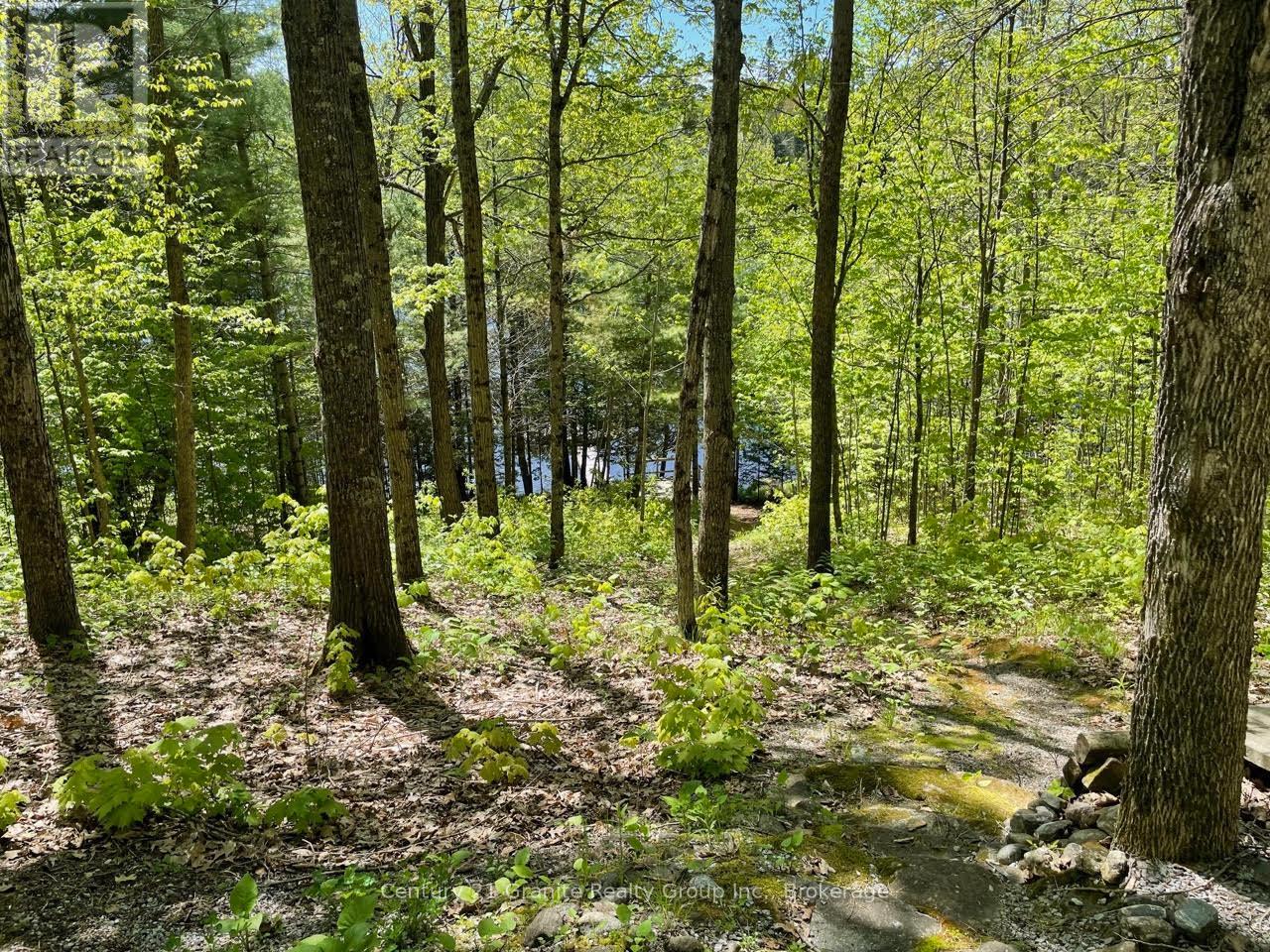 1037 Rotunda Drive, Highlands East, Ontario  K0M 1R0 - Photo 21 - X12168353