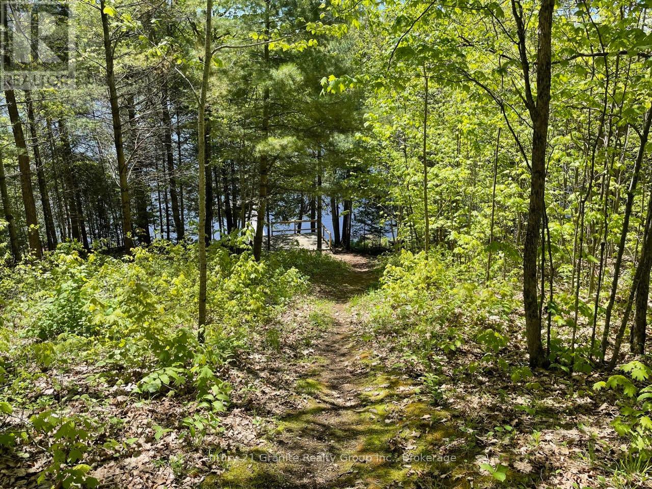 1037 Rotunda Drive, Highlands East, Ontario  K0M 1R0 - Photo 22 - X12168353