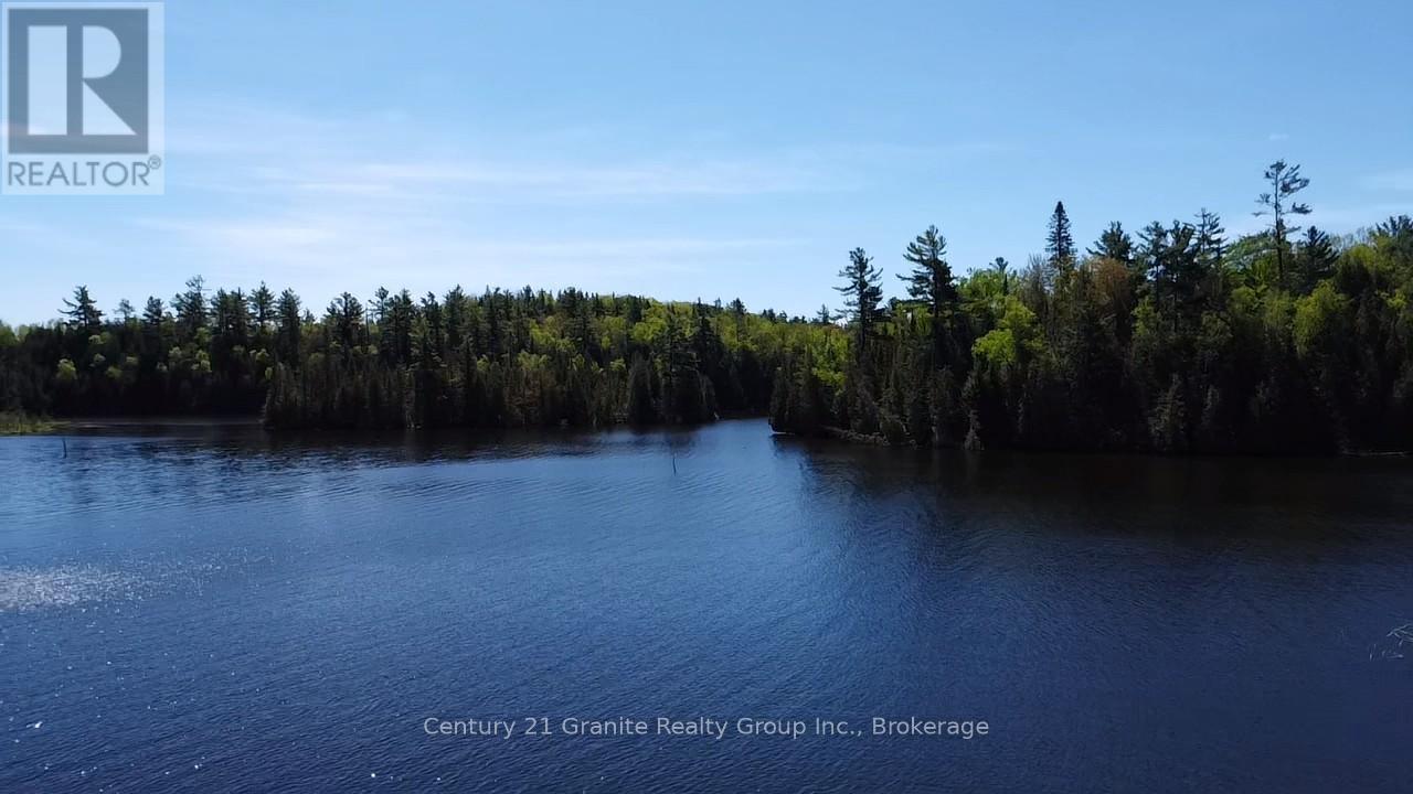 1037 Rotunda Drive, Highlands East, Ontario  K0M 1R0 - Photo 5 - X12168353