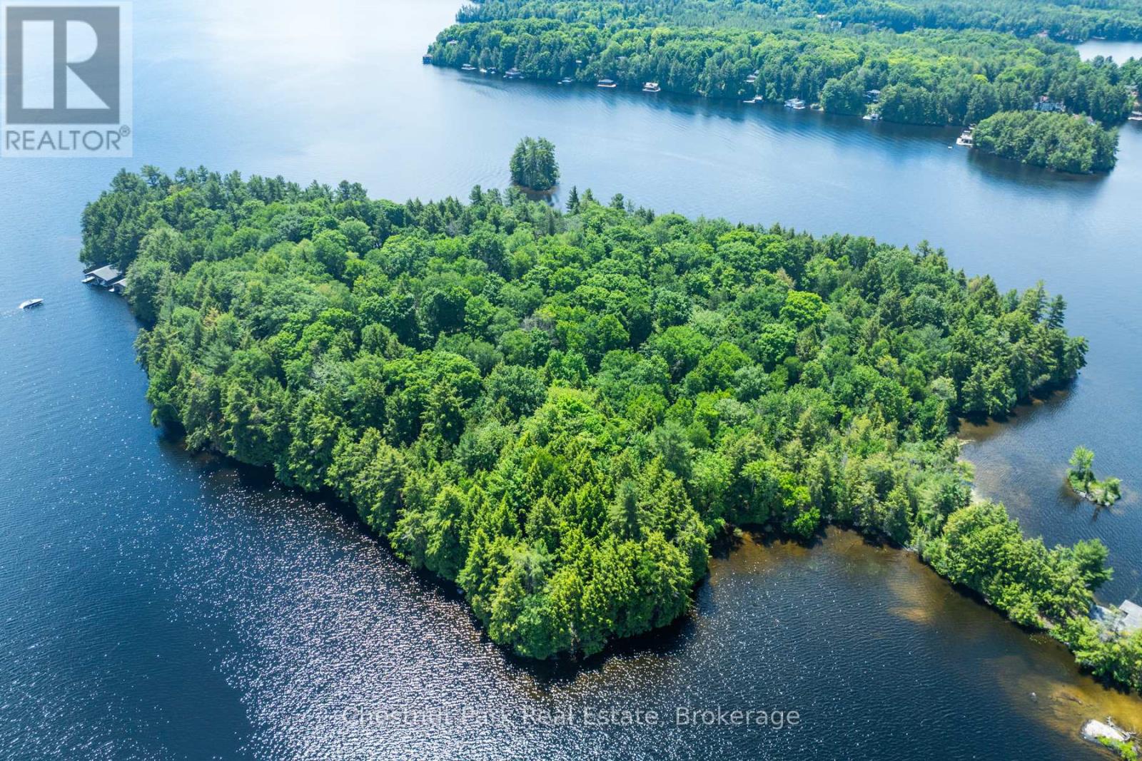 Lots 2, 3, 4 - 2 Island M2 Island, Muskoka Lakes, Ontario  P0B 1J0 - Photo 3 - X12168495