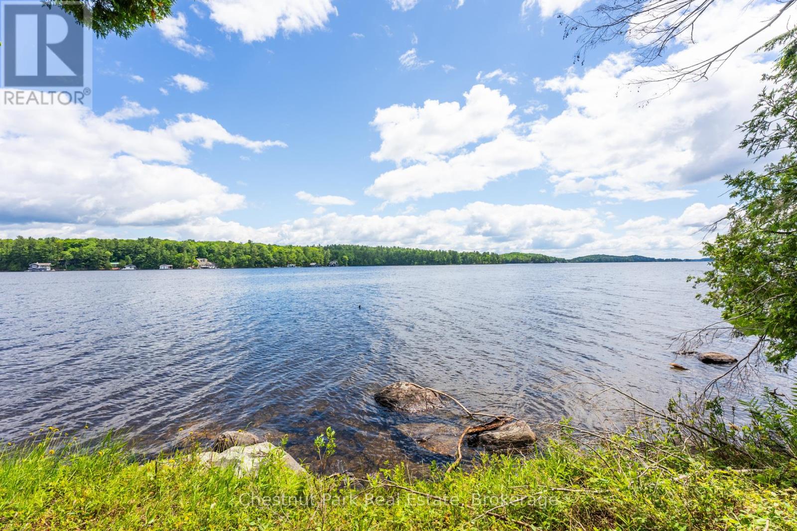 Lots 2, 3, 4 - 2 Island M2 Island, Muskoka Lakes, Ontario  P0B 1J0 - Photo 4 - X12168495