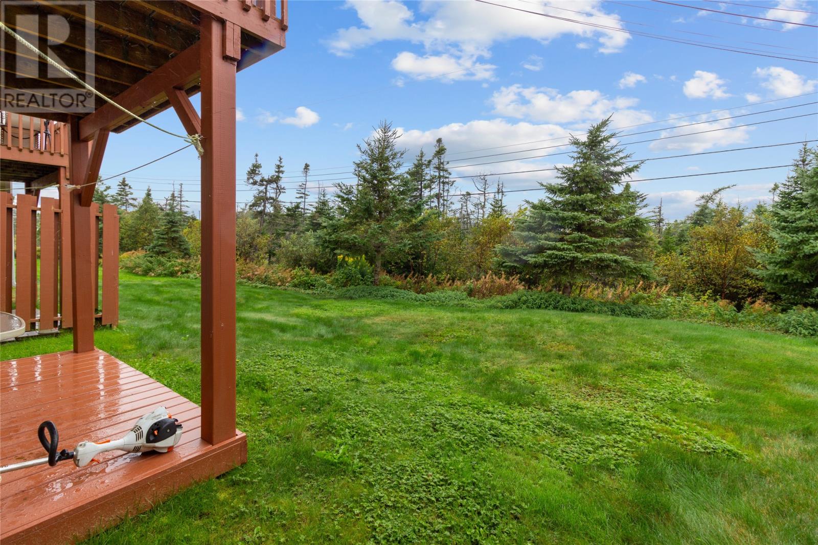 100 Gisborne Place, St. John's, Newfoundland & Labrador  A1H 0B2 - Photo 24 - 1277199