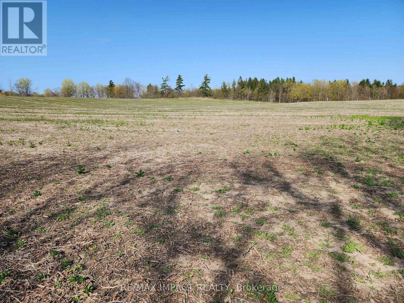 3488 Skelding Road, Clarington, Ontario  L0B 1M0 - Photo 8 - E12045335