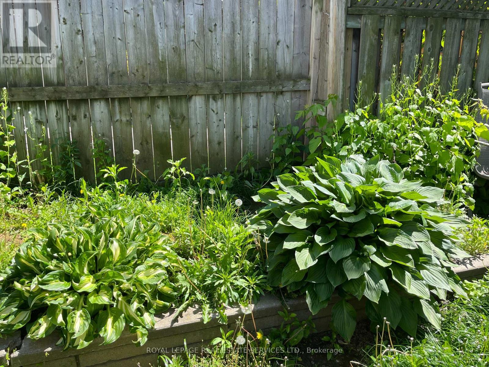 Main - 40 Bonnie Brae Boulevard, Toronto, Ontario  M4J 4N2 - Photo 14 - E12168213