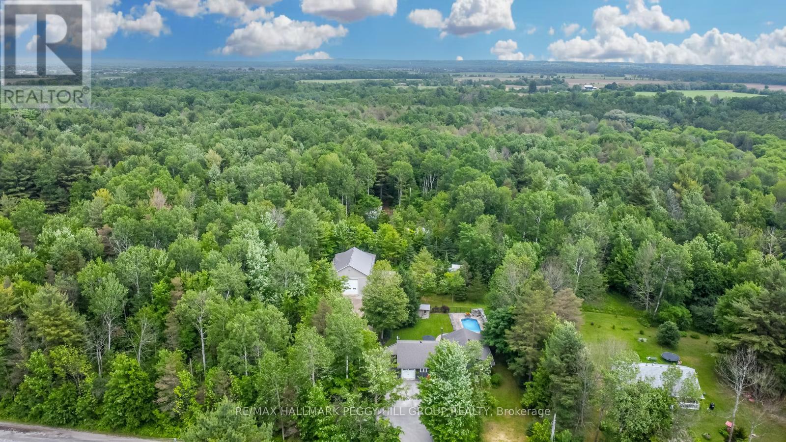 8071 4th Line, Essa, Ontario  L0M 1B1 - Photo 3 - N12168324