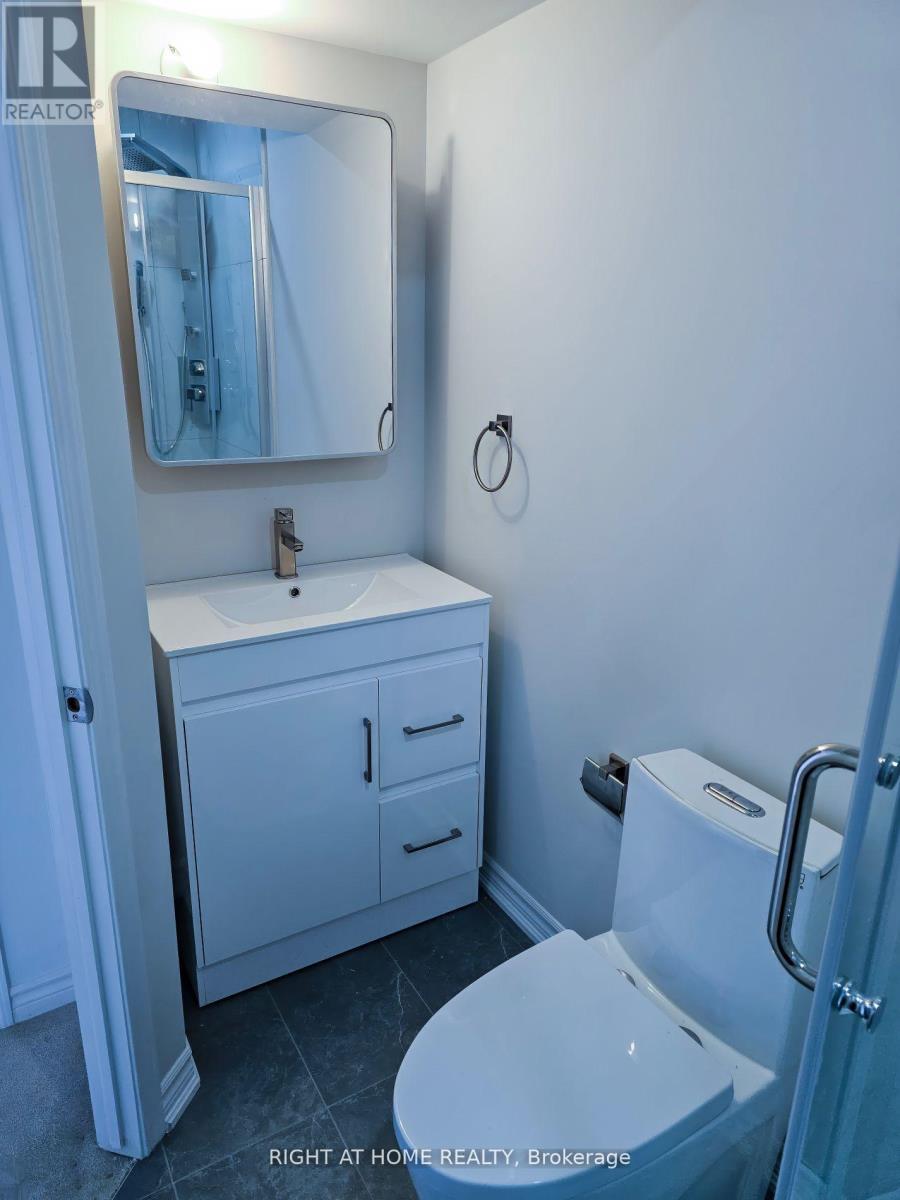 Full - 11 Telegraph Street, Brampton, Ontario  L6Z 0H9 - Photo 42 - W12168153