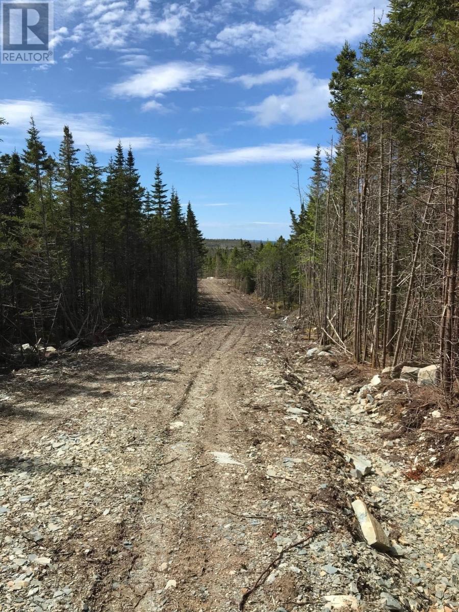 Highway 7, Ecum Secum, Nova Scotia  B0J 2G0 - Photo 14 - 202512039