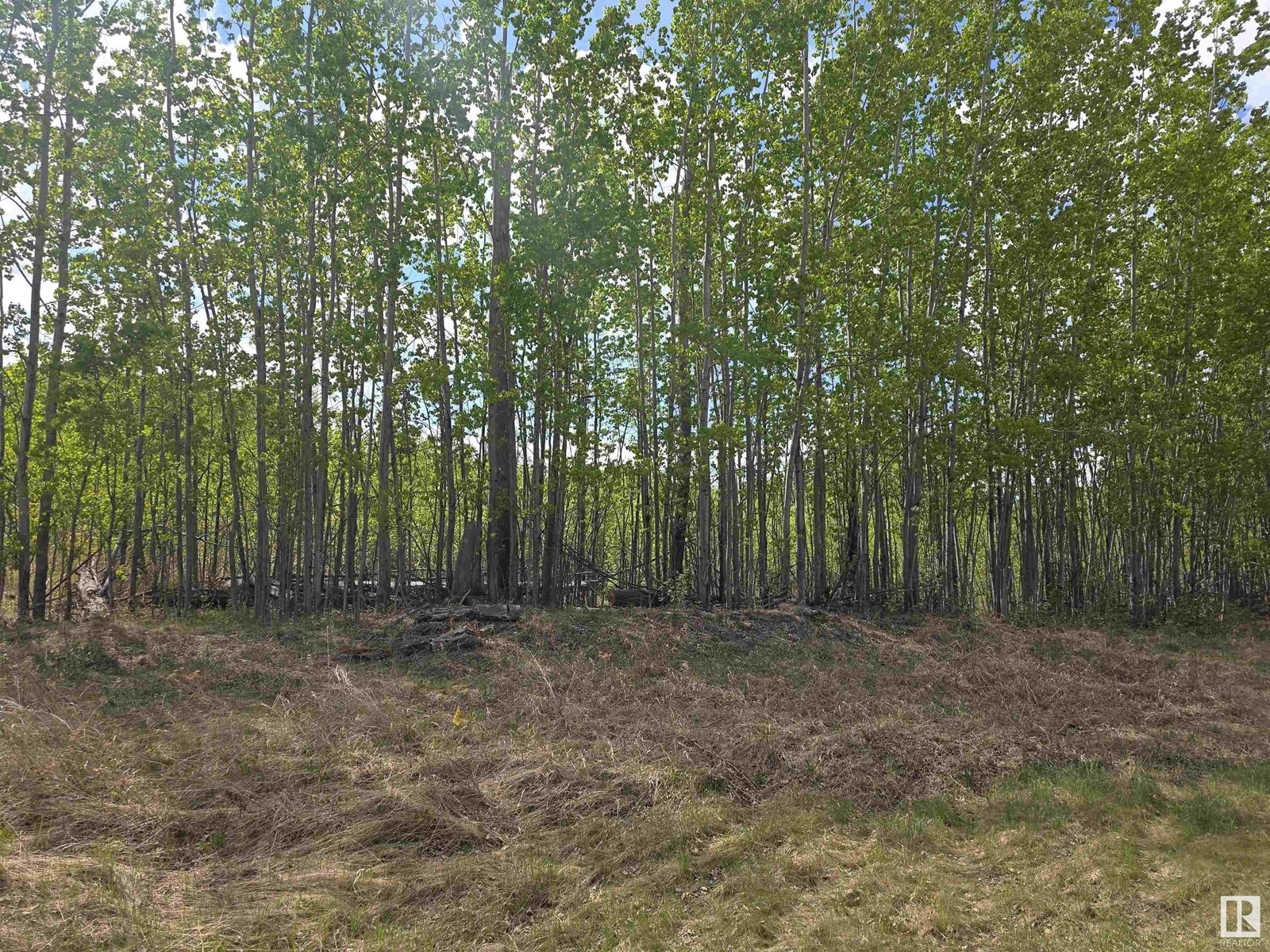 Lot 1 Plan 2221652 Southshore Dr E, Rural Lesser Slave River M.d., Alberta  T0G 0M0 - Photo 4 - E4435476