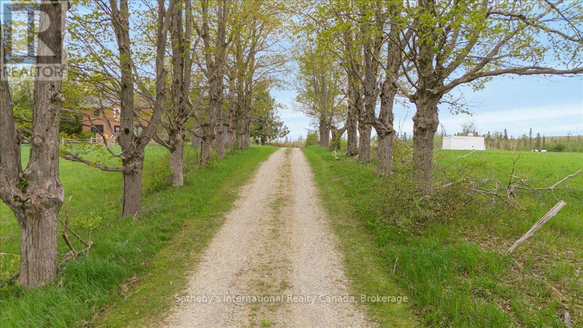 429639 8th Concession B, Grey Highlands, Ontario  N0C 1M0 - Photo 3 - X12168685