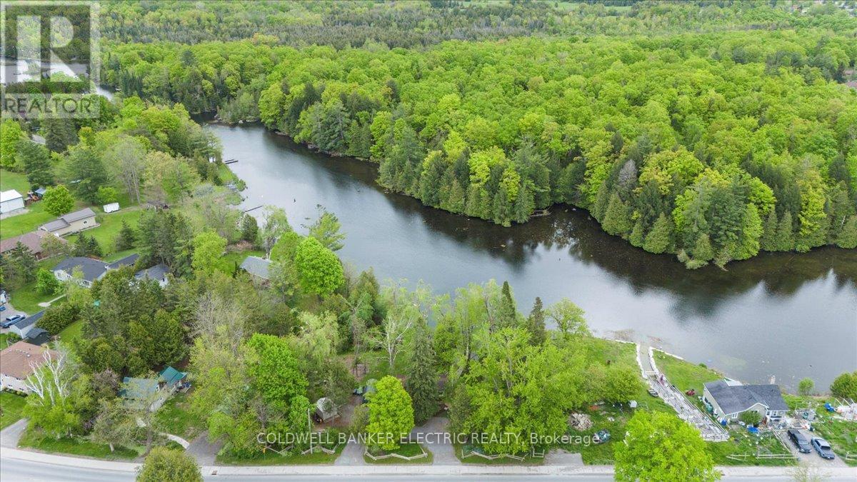 979 Water Street, Douro-Dummer, Ontario  K0L 3A0 - Photo 38 - X12168758