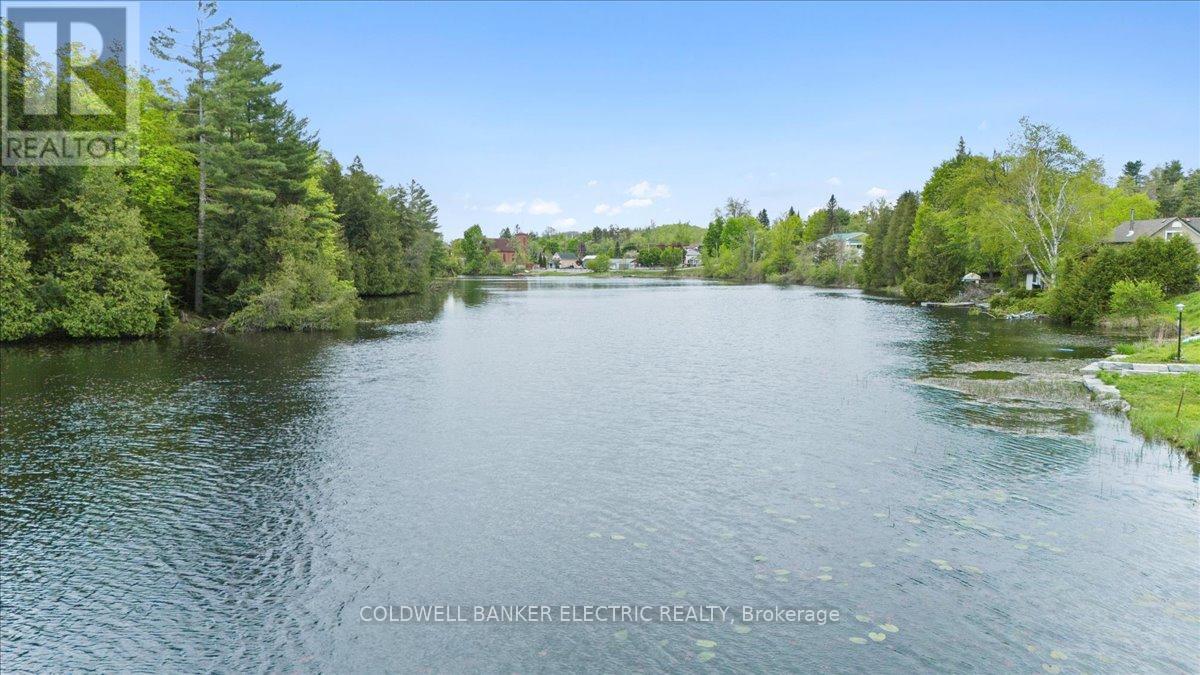 979 Water Street, Douro-Dummer, Ontario  K0L 3A0 - Photo 42 - X12168758