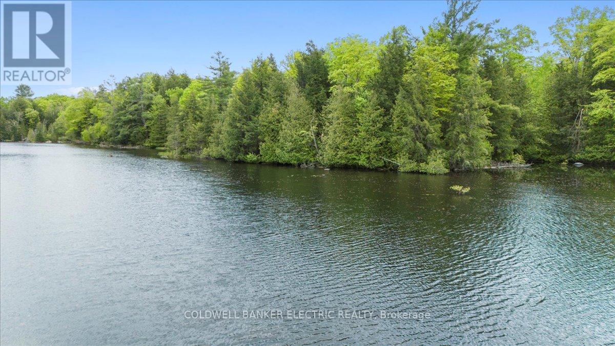 979 Water Street, Douro-Dummer, Ontario  K0L 3A0 - Photo 43 - X12168758