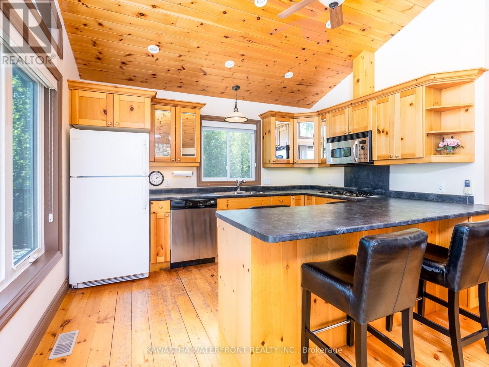 56 Jasper Drive, Kawartha Lakes, Ontario  K0M 2B0 - Photo 15 - X12168916
