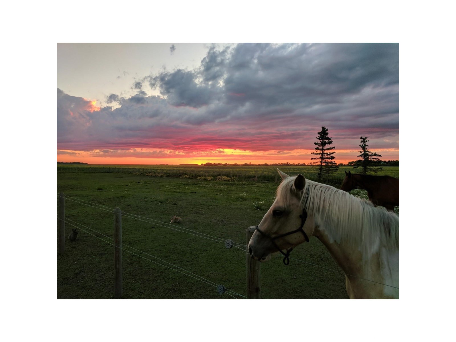 55524 Rge Road 261, Rural Sturgeon County, Alberta  T8R 1P4 - Photo 32 - E4437969