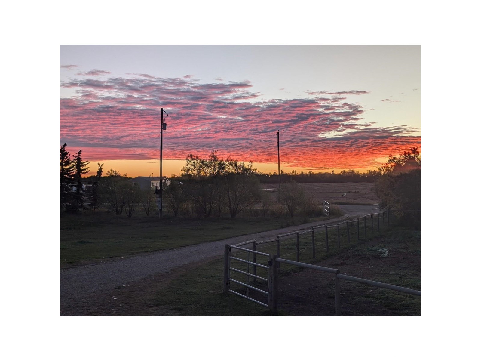 55524 Rge Road 261, Rural Sturgeon County, Alberta  T8R 1P4 - Photo 34 - E4437969