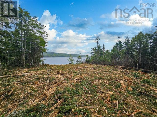 Lot 6 Dark Pond Lane, West Petpeswick, Nova Scotia  B0J 2L0 - Photo 9 - 202511131