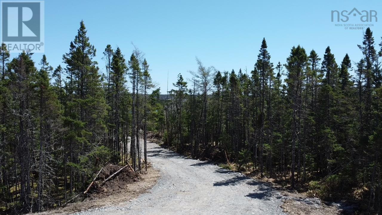 Lot 7 Dark Pond Lane, West Petpeswick, Nova Scotia  B0J 2L0 - Photo 16 - 202511132