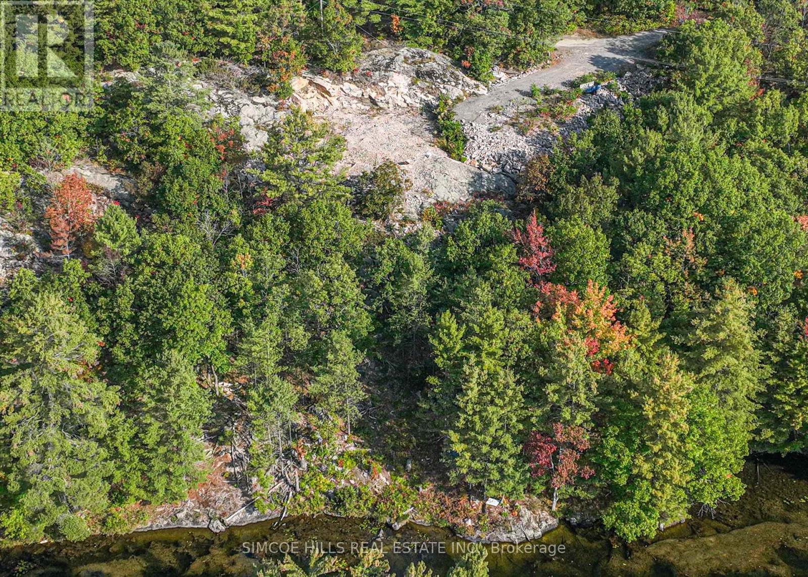 1110 Flanagan Trail S, Gravenhurst, Ontario  P0E 1G0 - Photo 10 - X12073693