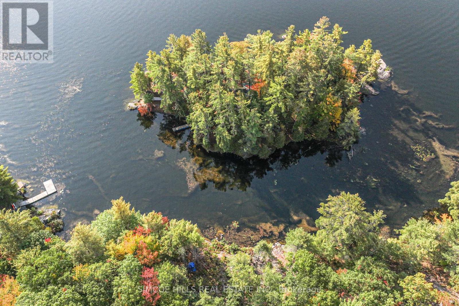 1110 Flanagan Trail S, Gravenhurst, Ontario  P0E 1G0 - Photo 9 - X12073693