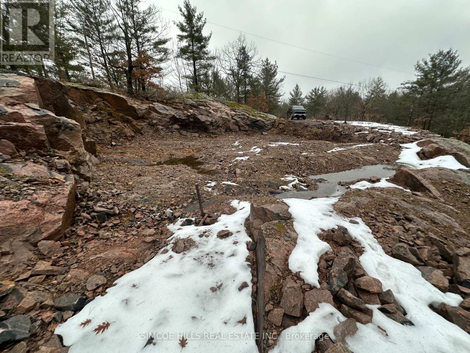 1110 Flanagan Trail S, Gravenhurst, Ontario  P0E 1G0 - Photo 5 - X12073693