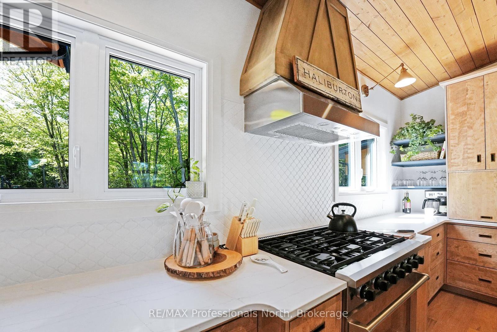 1041 Minaki Lane, Minden Hills (Minden), Ontario  K0M 2K0 - Photo 12 - X12168862