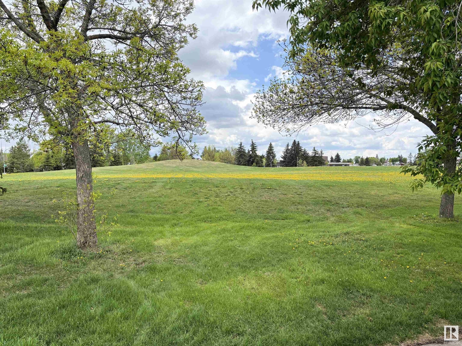 7115 12 Av Nw, Edmonton, Alberta  T6K 3H6 - Photo 3 - E4438107