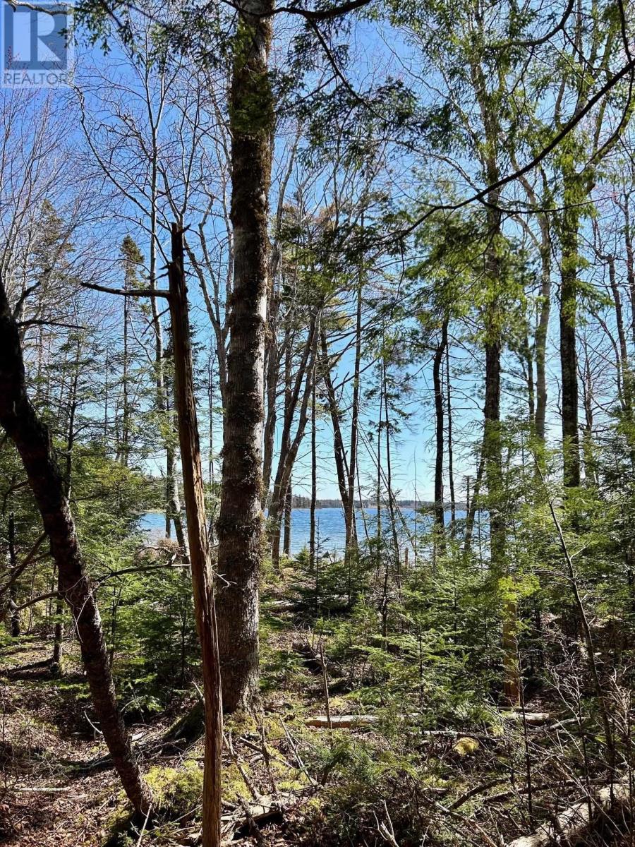 Lot 49 Redbird Drive, Malagawatch, Nova Scotia  B0E 2Y0 - Photo 7 - 202511128