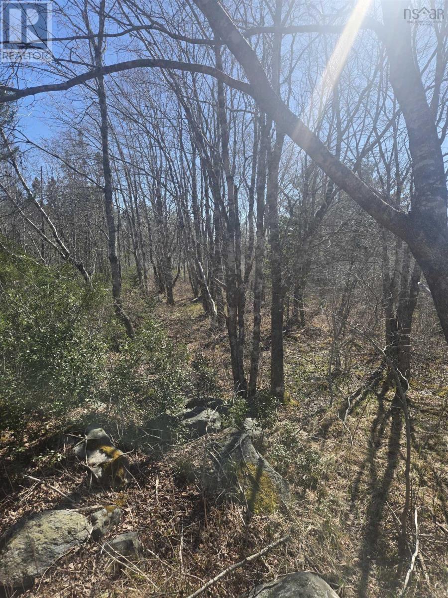 Lot B Lake Road, Sandy Point, Nova Scotia  B0T 1W0 - Photo 5 - 202512075