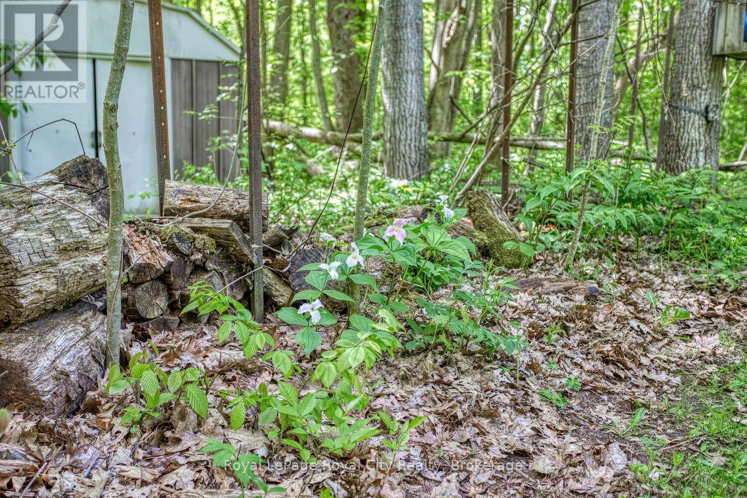 1158 Conservation Road E, Milton, Ontario  L0P 1B0 - Photo 44 - W12169441