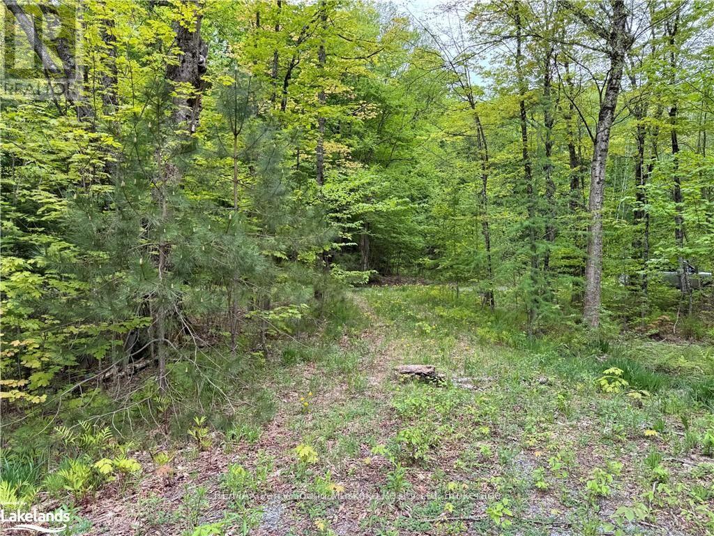 64 Woodland Drive, Seguin, Ontario  P0C 1J0 - Photo 3 - X12169448