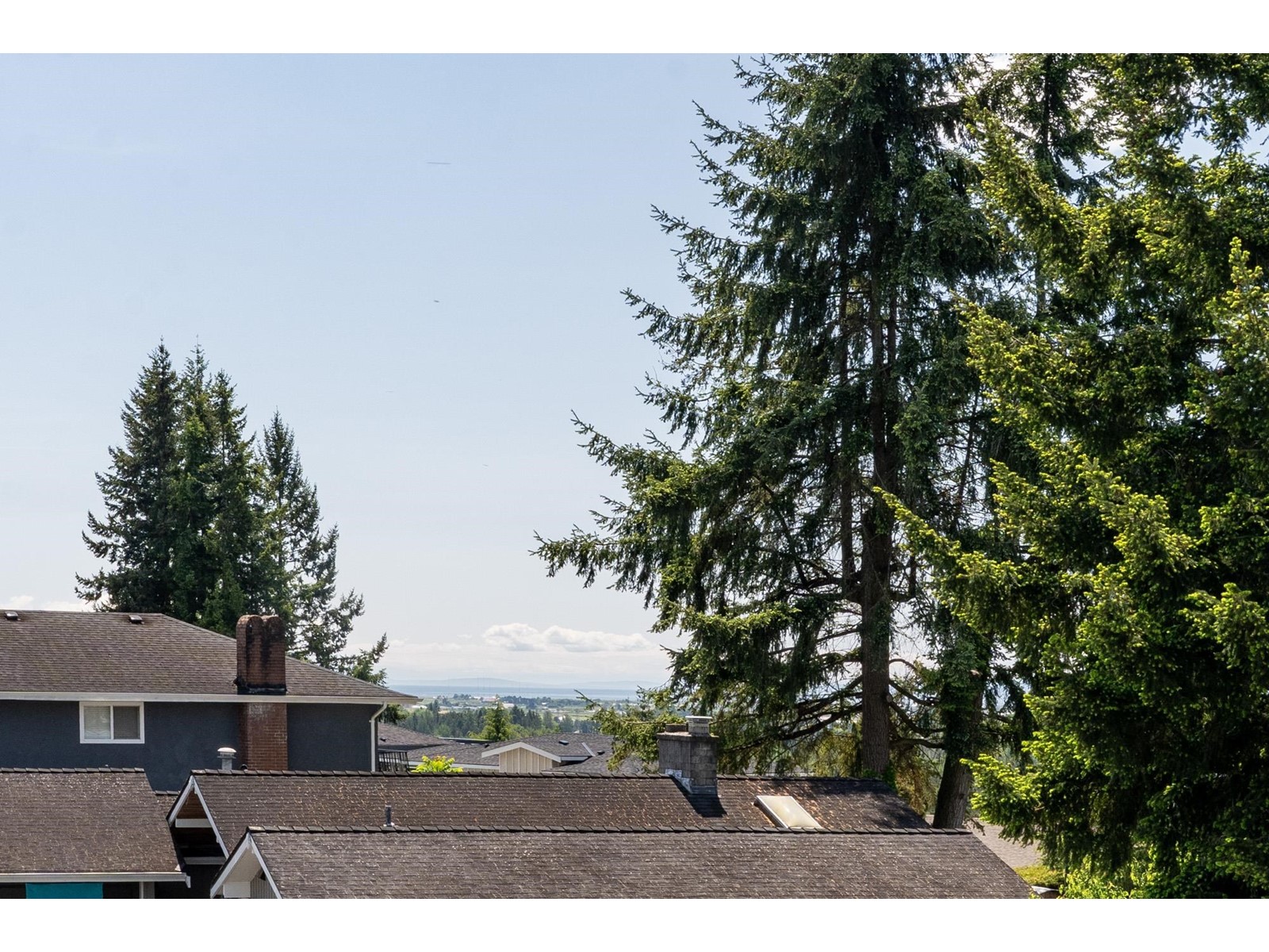10935 Monroe Drive, Delta, British Columbia  V4C 1N2 - Photo 32 - R3003956